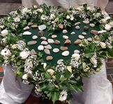 Hart met steentjes 1